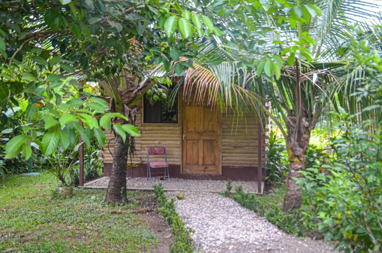 La Palma Hospedaje Y Alojamiento Cabanas Don Beto מראה חיצוני תמונה